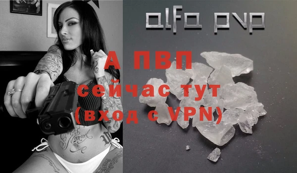 сатива Балахна