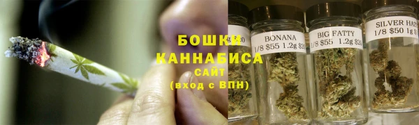 сатива Балахна