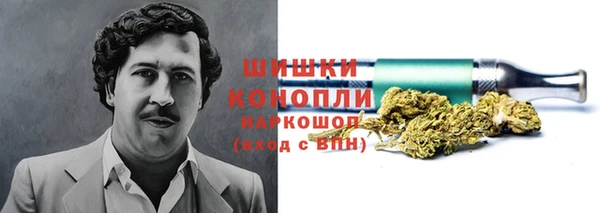 эйфоретик Баксан