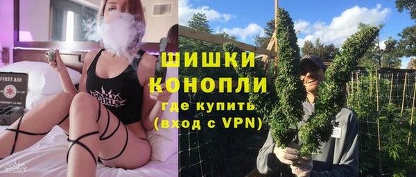 сатива Балахна