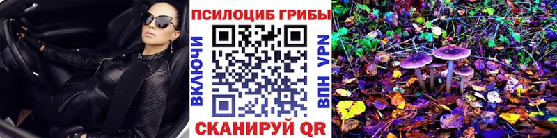 как найти закладки  Петровск  Псилоцибиновые грибы прущие грибы 